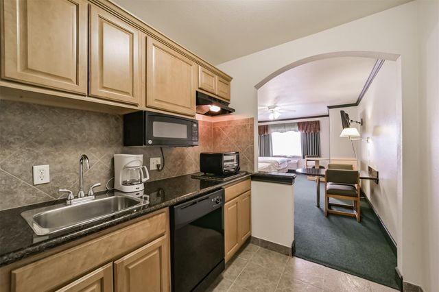 1025 Swanson Street 309, Houston, TX 77030