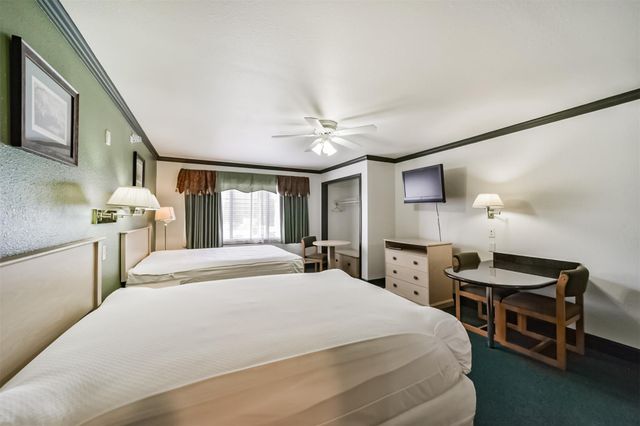 1025 Swanson Street 309, Houston, TX 77030