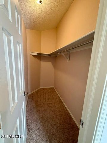 12409 PASEO ALEGRE Drive, El Paso, TX 79928