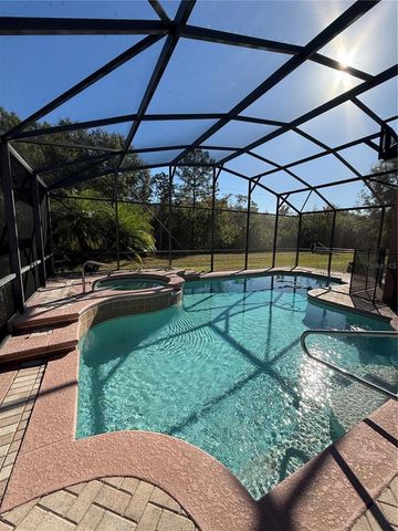 3231 PAWLEYS LOOP N, St Cloud, FL 34769