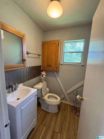 3824 ELLIS AVENUE SW, Birmingham, AL 35221