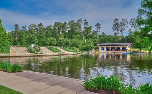 19 Craggy Rock Street, The Woodlands, TX 77381