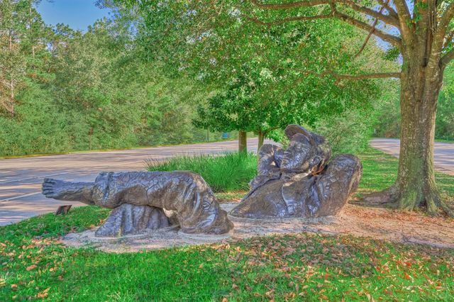 19 Craggy Rock Street, The Woodlands, TX 77381