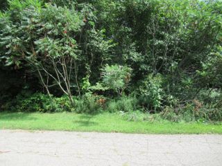 Tract 3 Deep Woods Drive, Cassopolis, MI 49031