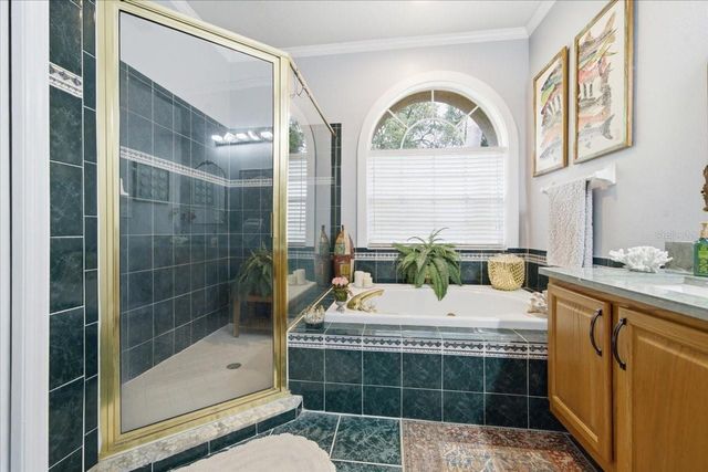3702 CYPRESS MEADOWS ROAD, Tampa, FL 33624