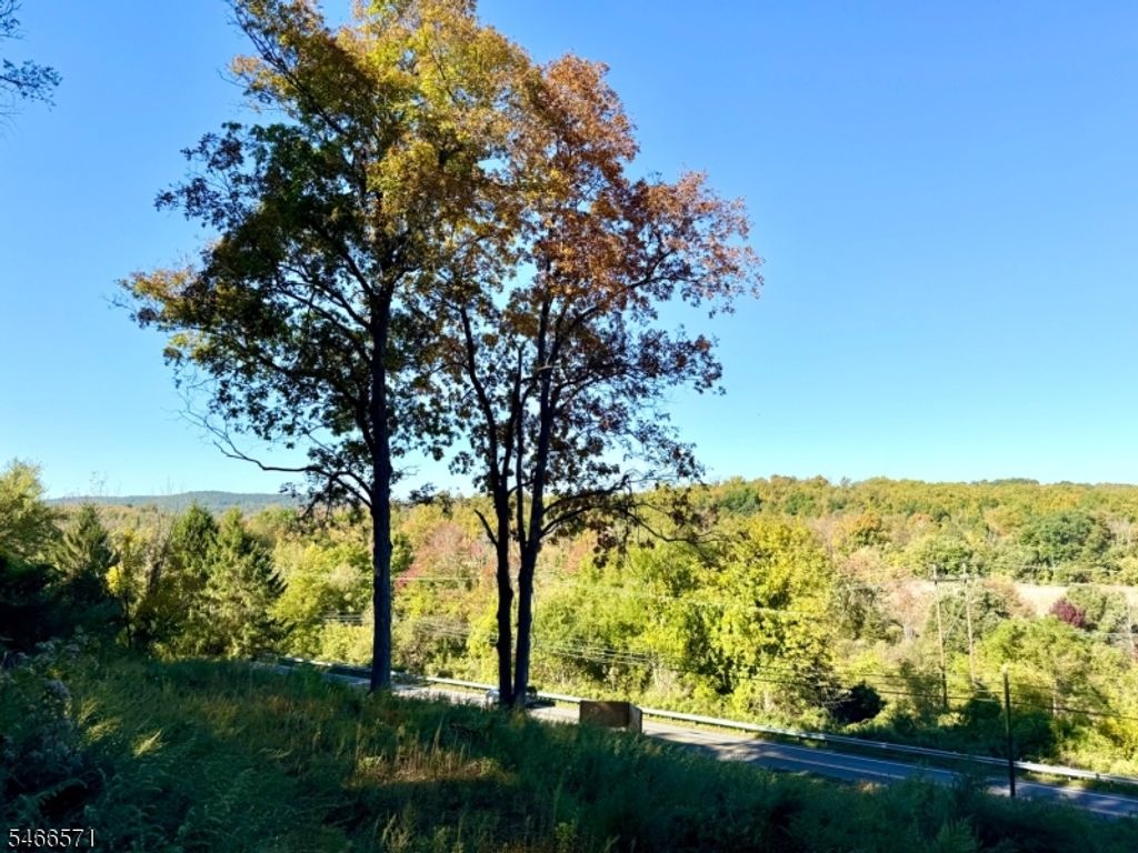 111 Munsonhurst Rd, Franklin Boro, NJ 07416 — photo 5