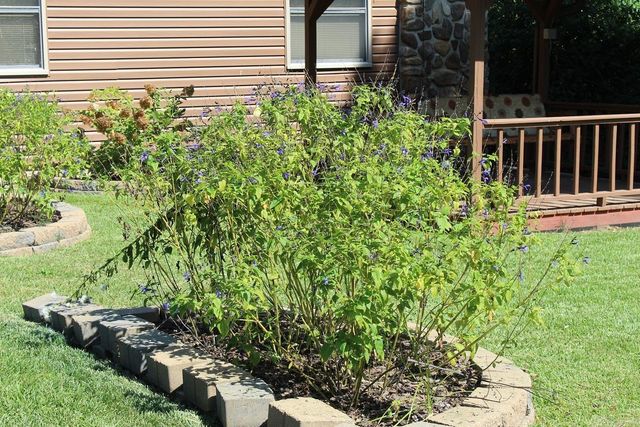 1303 Bert Street, Mena, AR 71953