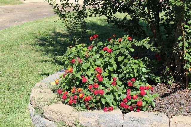 1303 Bert Street, Mena, AR 71953