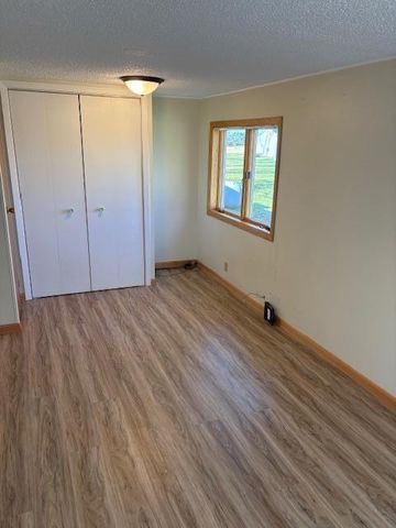 37313 185th Avenue, Avon Twp, MN 56310