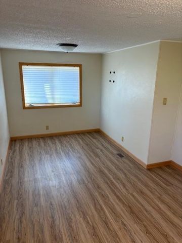 37313 185th Avenue, Avon Twp, MN 56310