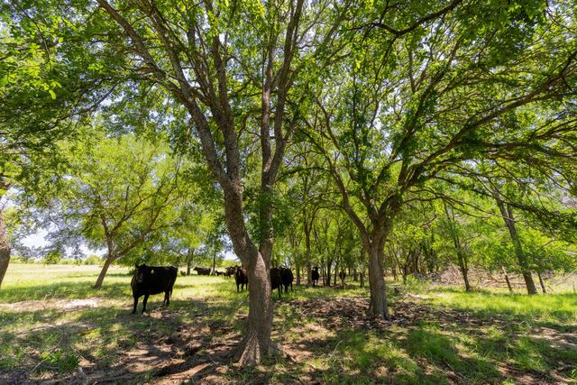 TBD County Road 180 72 ac RD, Purmela, TX 76566