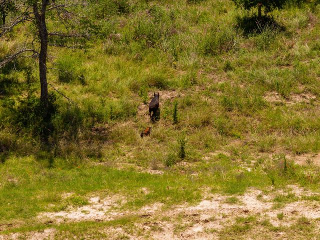 TBD County Road 180 72 ac RD, Purmela, TX 76566