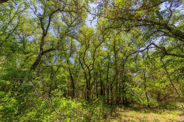 TBD County Road 180 72 ac RD, Purmela, TX 76566