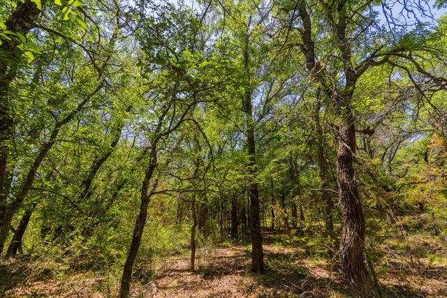TBD County Road 180 72 ac RD, Purmela, TX 76566