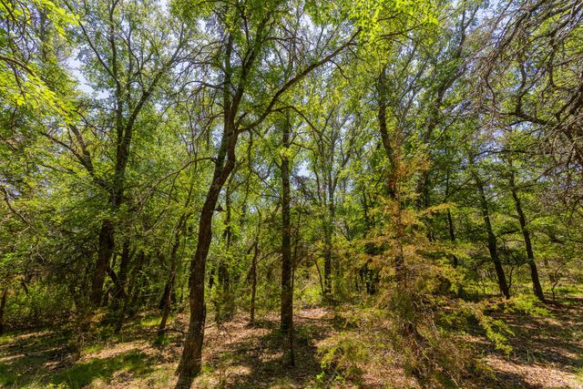 TBD County Road 180 72 ac RD, Purmela, TX 76566