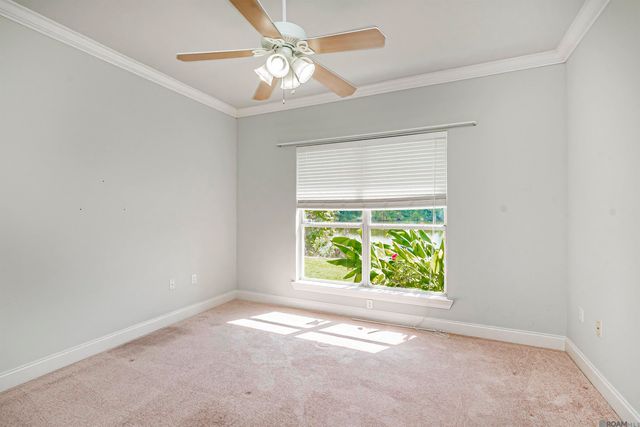 14436 Patin Dyke Rd, Ventress, LA 70783