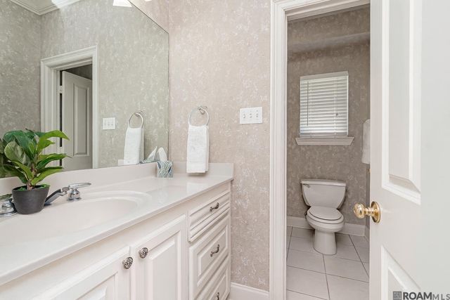 14436 Patin Dyke Rd, Ventress, LA 70783