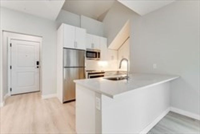 163 Chestnut 302, Chelsea, MA 02150