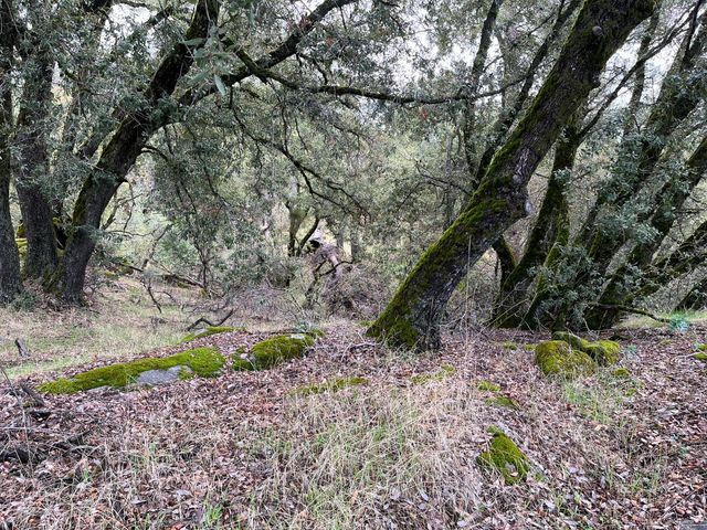 28 Jean Road E, Oakhurst, CA 93644