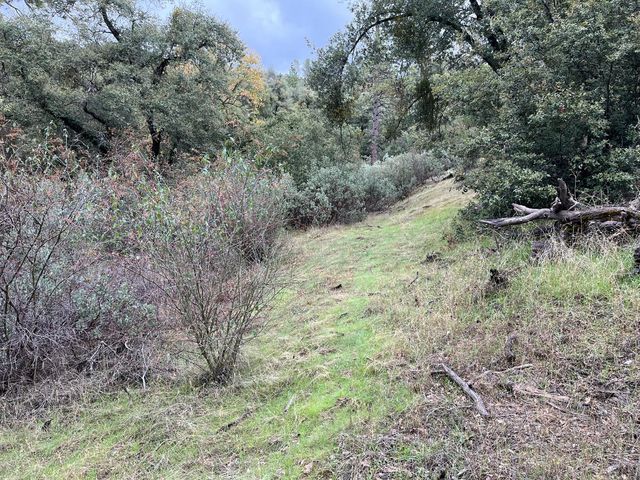 28 Jean Road E, Oakhurst, CA 93644