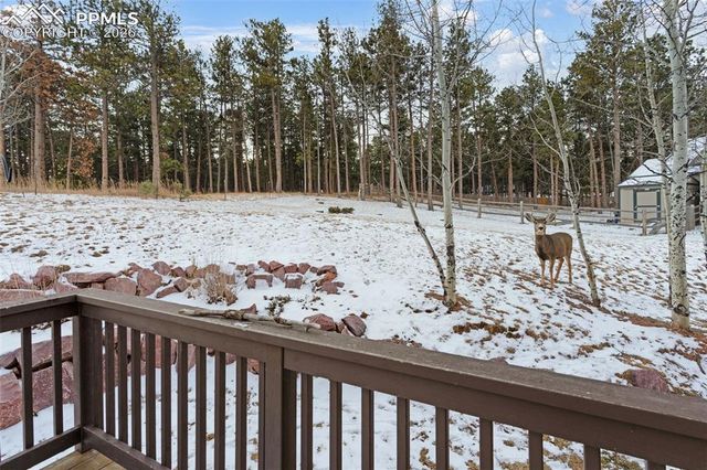 1157 Ptarmigan Drive, Woodland Park, CO 80863