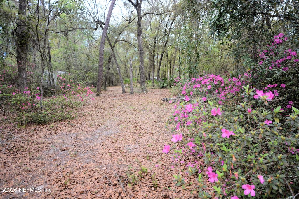 707 HILLSBOROUGH Avenue, Florahome, FL 32140