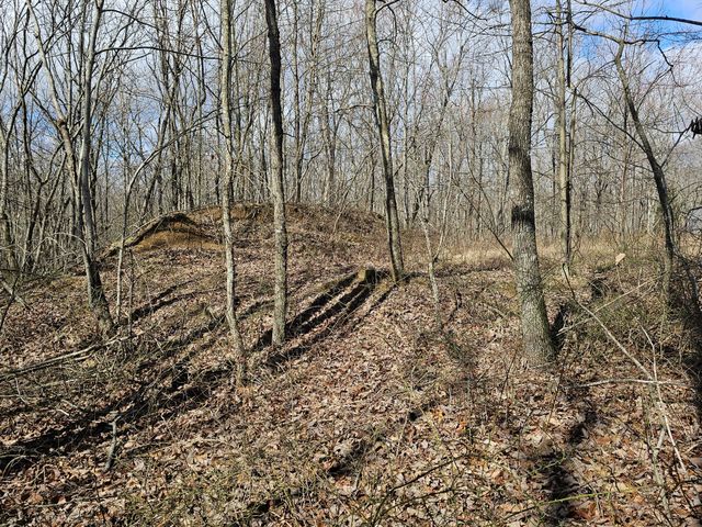 24 Blumont Drive, Altamont, TN 37301