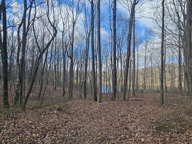 24 Blumont Drive, Altamont, TN 37301