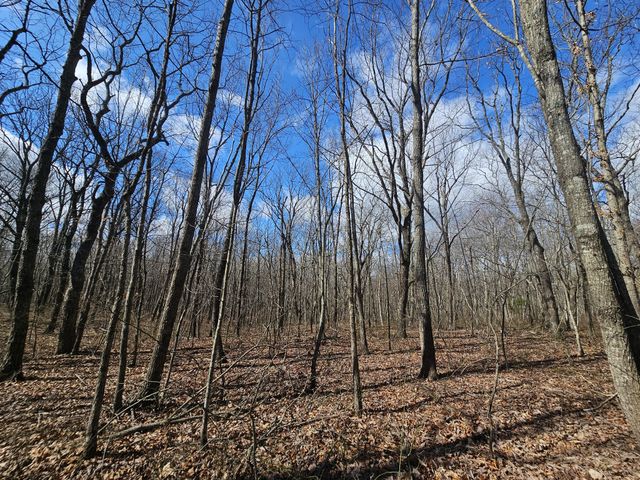 24 Blumont Drive, Altamont, TN 37301