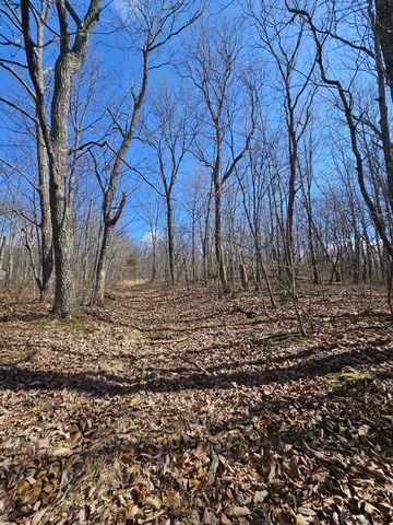 24 Blumont Drive, Altamont, TN 37301