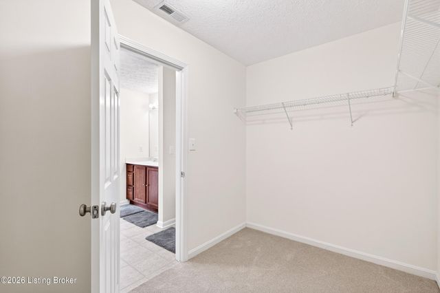 16707 Summit Vista Way, Louisville, KY 40245