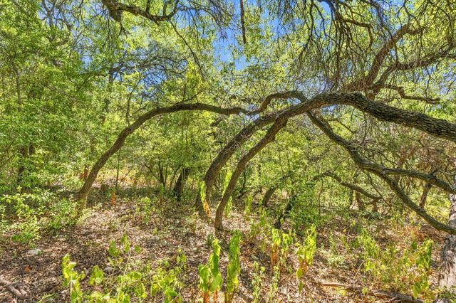 6401 Dry Cliff CV, Austin, TX 78731