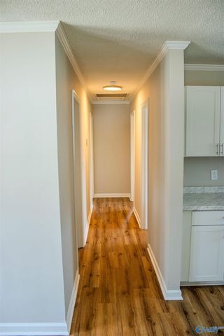 113 Audrea Street, Moulton, AL 35650