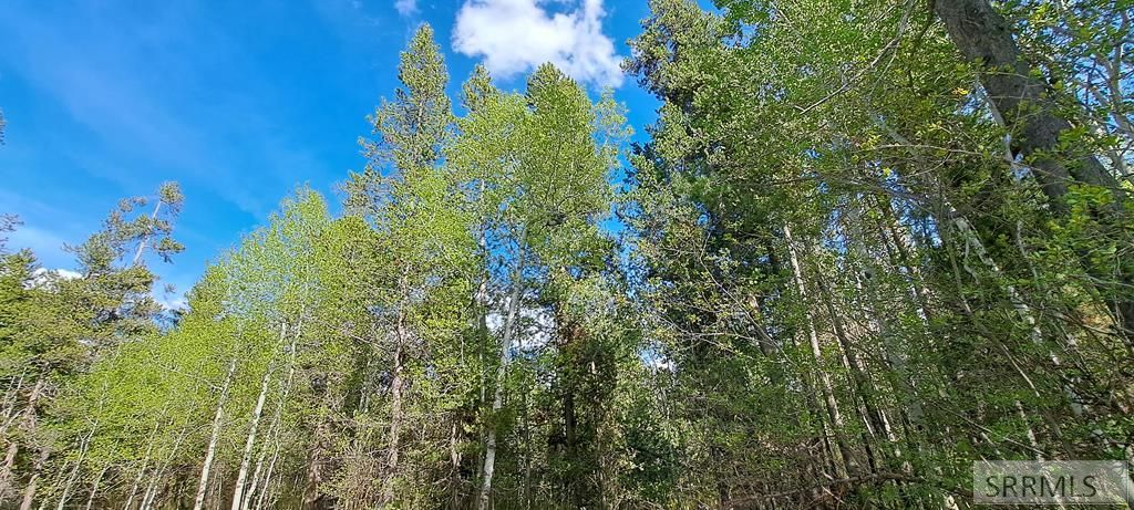 Image 10 of property listing at 4376 Granite Ridge, Ashton, ID 83420