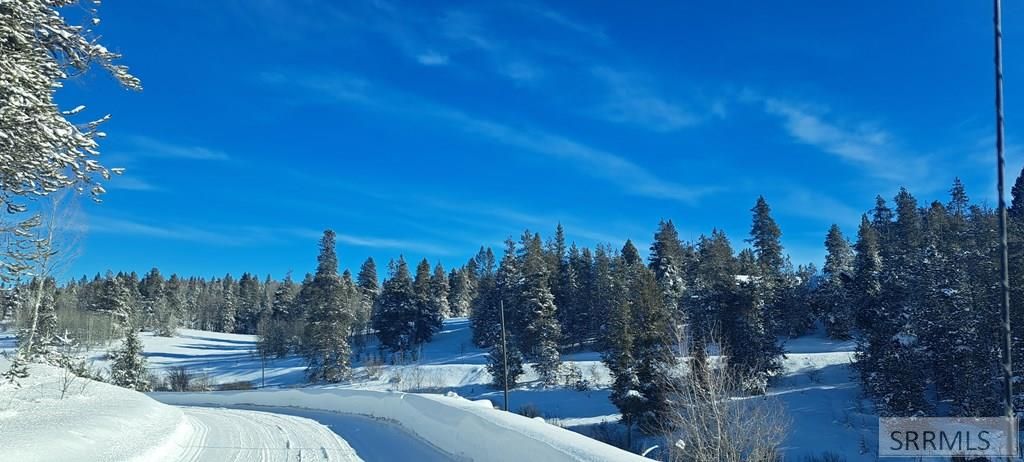 Image 20 of property listing at 4376 Granite Ridge, Ashton, ID 83420