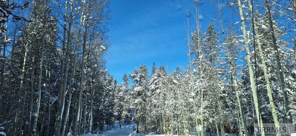 Image 23 of property listing at 4376 Granite Ridge, Ashton, ID 83420