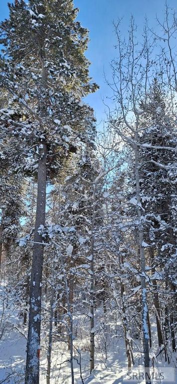 Image 26 of property listing at 4376 Granite Ridge, Ashton, ID 83420