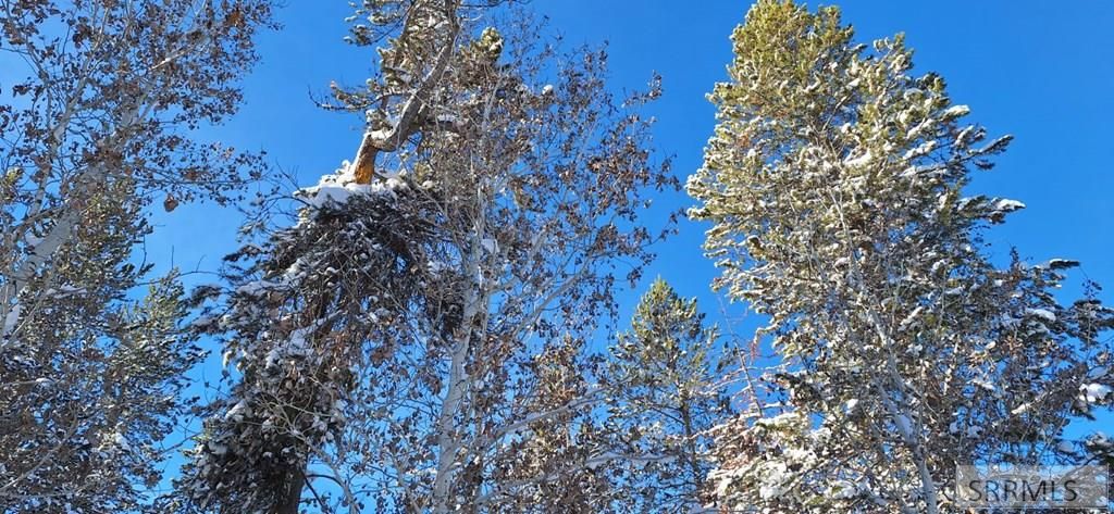 Image 30 of property listing at 4376 Granite Ridge, Ashton, ID 83420