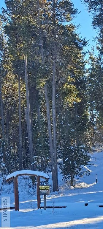 Image 45 of property listing at 4376 Granite Ridge, Ashton, ID 83420