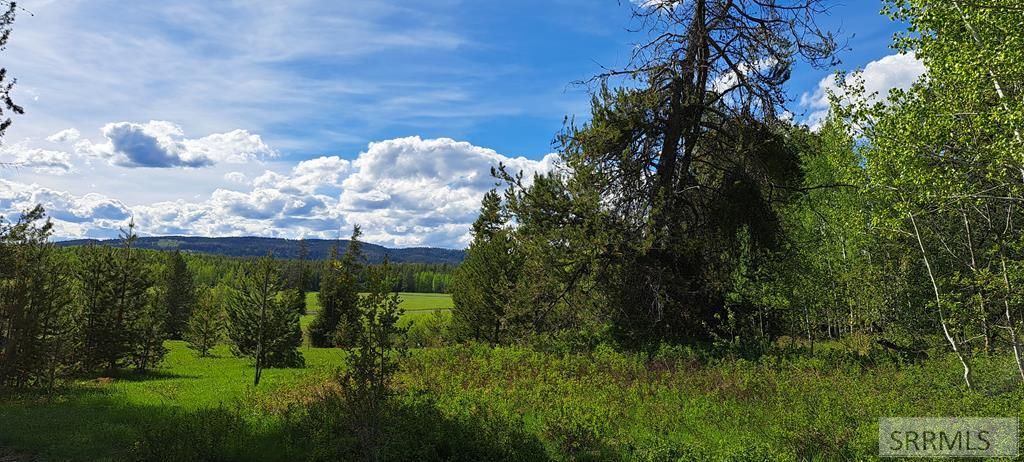 Image 5 of property listing at 4376 Granite Ridge, Ashton, ID 83420