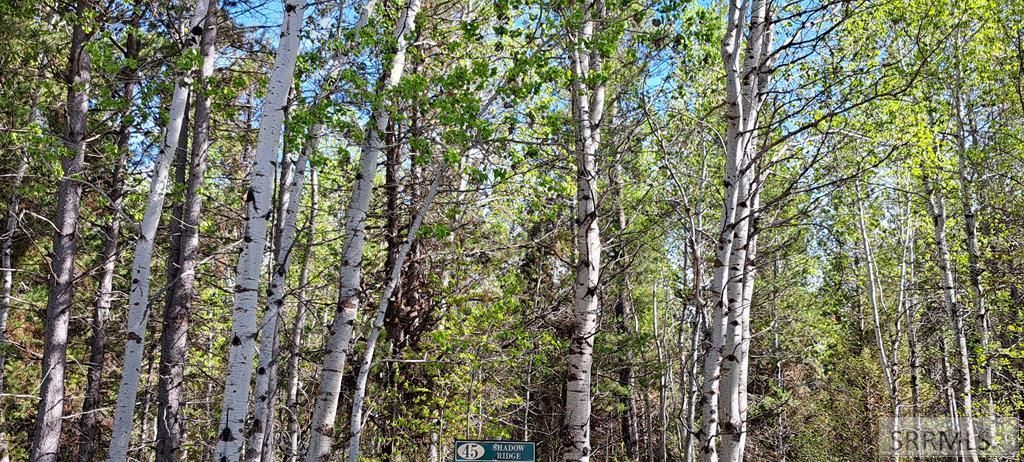 Image 53 of property listing at 4376 Granite Ridge, Ashton, ID 83420