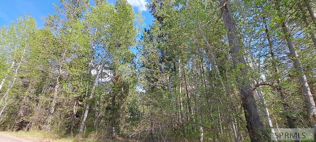 Image 54 of property listing at 4376 Granite Ridge, Ashton, ID 83420