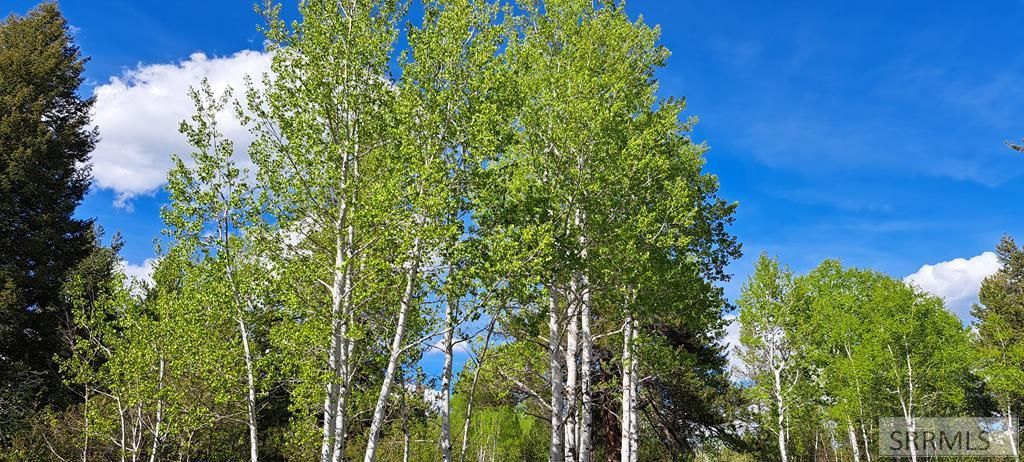 Image 55 of property listing at 4376 Granite Ridge, Ashton, ID 83420