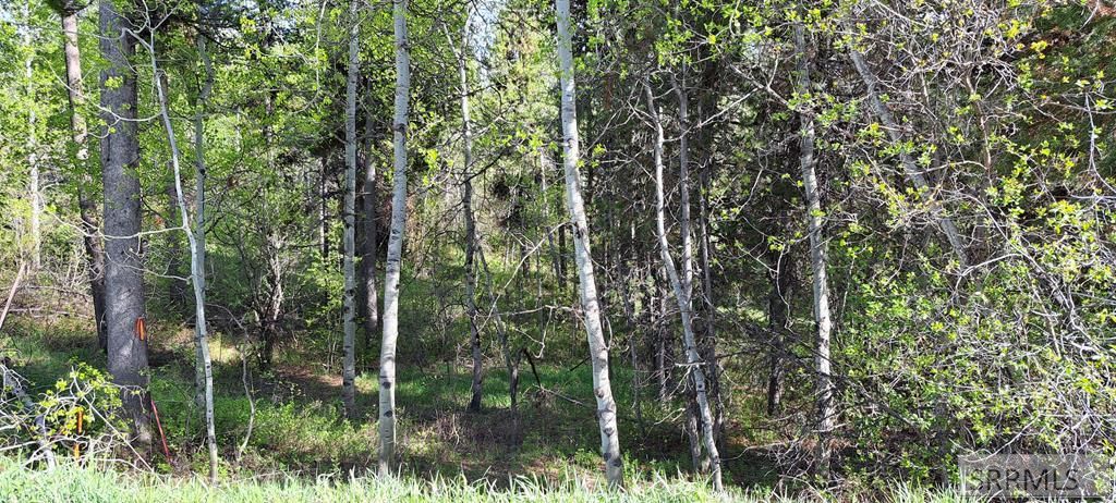 Image 56 of property listing at 4376 Granite Ridge, Ashton, ID 83420