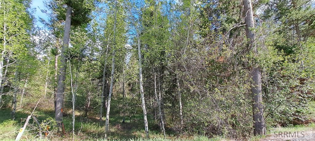 Image 57 of property listing at 4376 Granite Ridge, Ashton, ID 83420