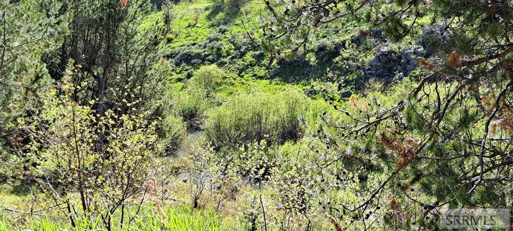 Image 58 of property listing at 4376 Granite Ridge, Ashton, ID 83420