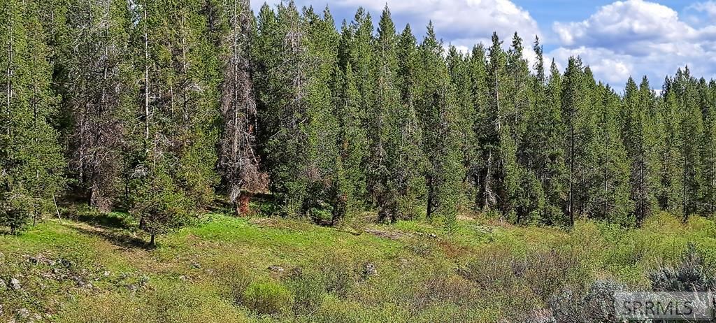 Image 59 of property listing at 4376 Granite Ridge, Ashton, ID 83420