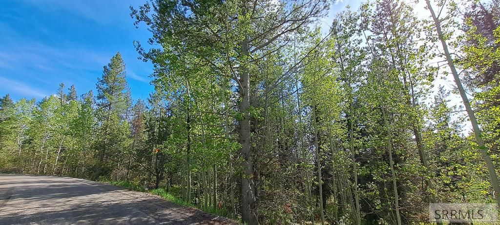 Image 6 of property listing at 4376 Granite Ridge, Ashton, ID 83420