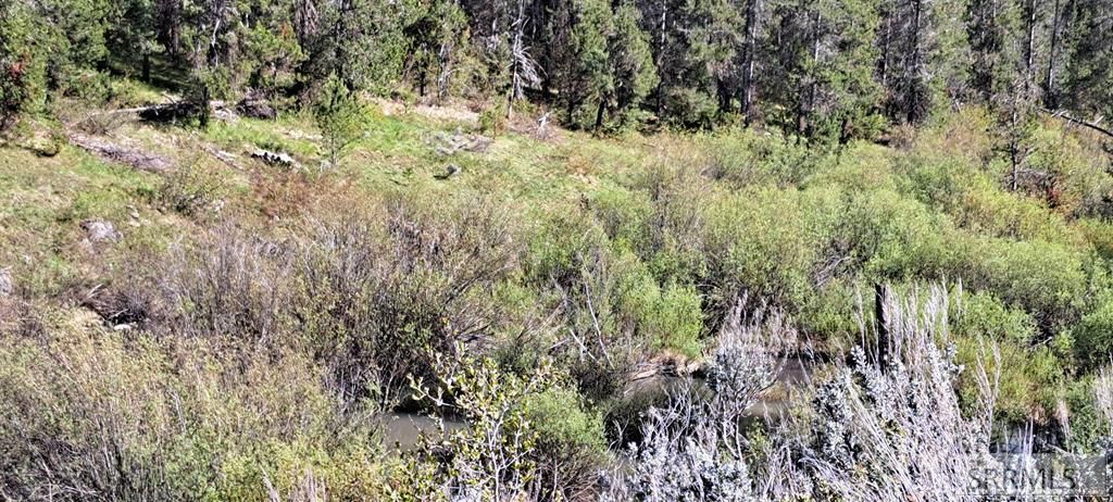 Image 60 of property listing at 4376 Granite Ridge, Ashton, ID 83420