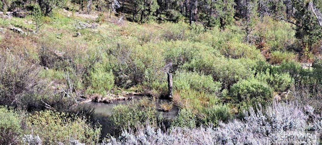 Image 61 of property listing at 4376 Granite Ridge, Ashton, ID 83420